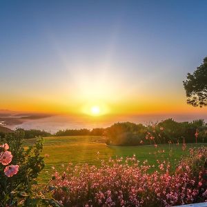 Hilltop Boutique Hotel